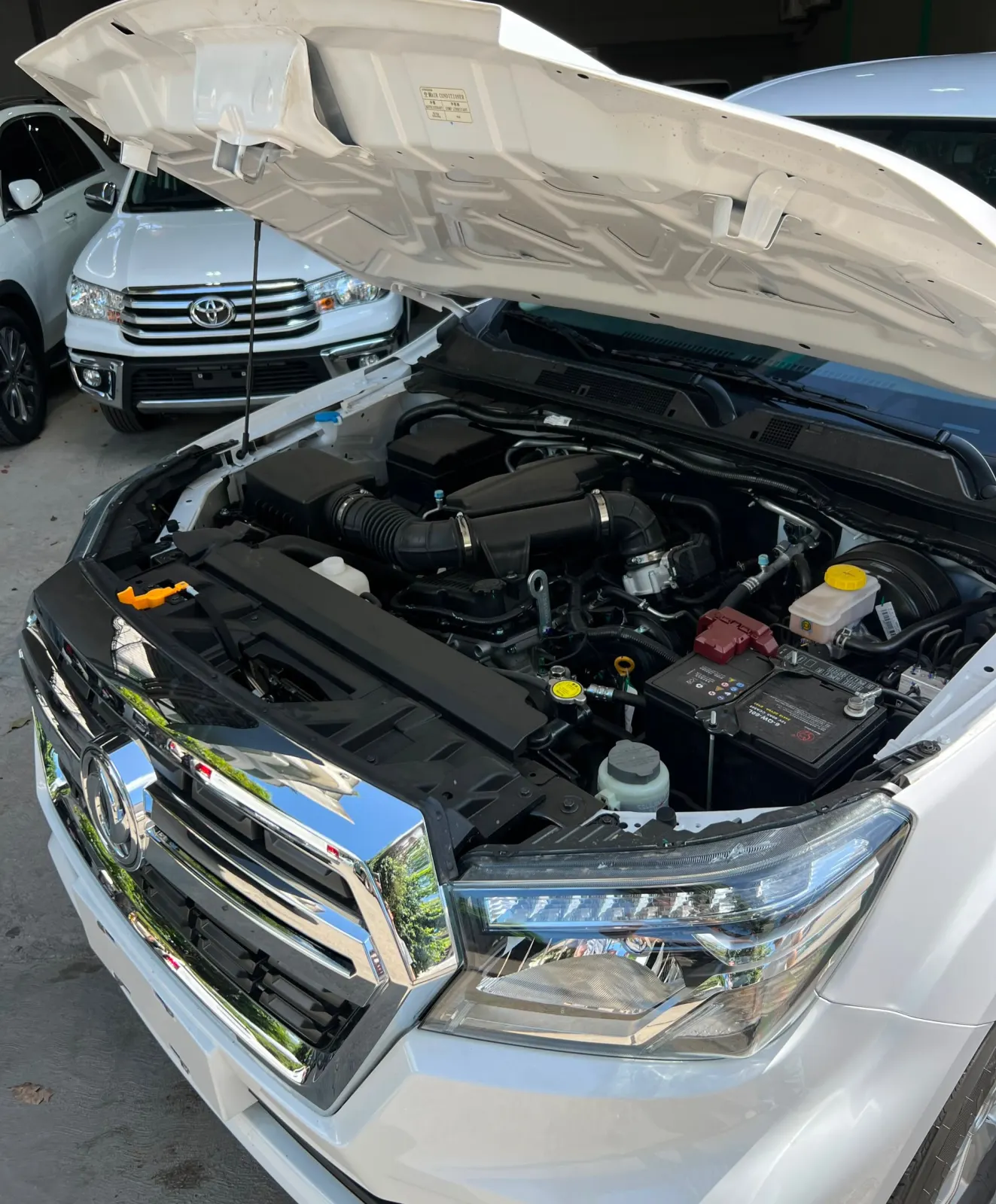 Dongfeng Rich 6 2026 — foto 2
