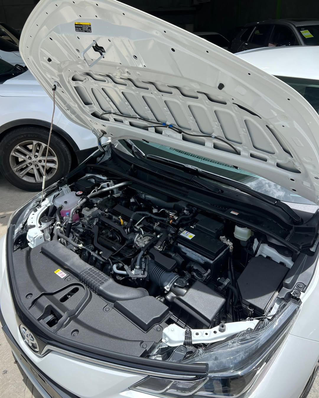 Toyota Corolla XLI (Dubái) 2025