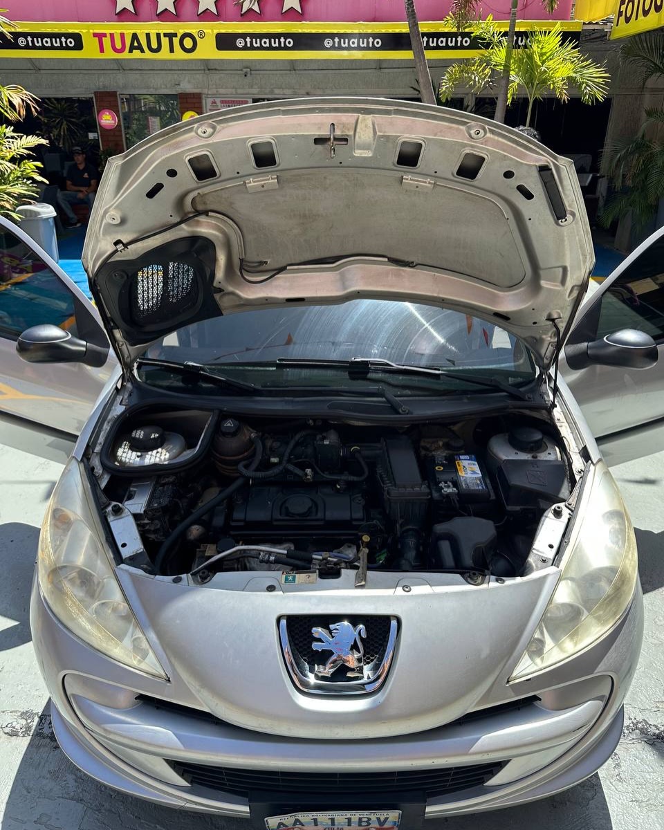 Peugeot Modelo 207 2012 Mill 172 Km
